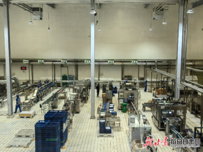 科技引領(lǐng)&ldquo;甘味&rdquo;莊園乳品熱銷市場--甘肅農(nóng)墾莊園牧場挖掘地域特色研發(fā)新產(chǎn)品